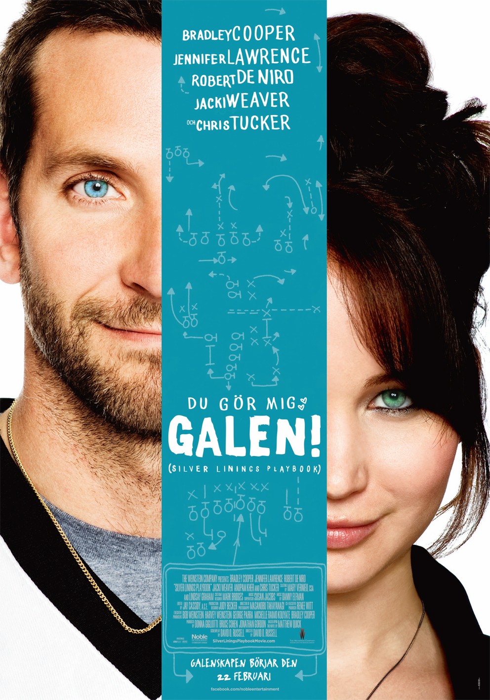 Silver Linings Playbook