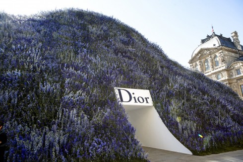 Một đồi hoa phi yến xanh đầy mộng mơ – ngự trị giữa khoảng sân của Carré du Louvre. 