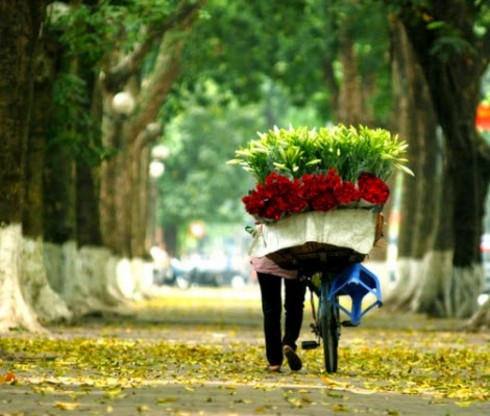 thanh pho ha noi 1