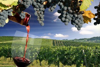 khách tham dự sẽ được trải nghiệm một lễ hội “Beaujolais Nouveau” thực thu ngay khi bước vào cửa.