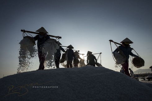 The Salt Harvesters of Khanh Hoa Province (Thu hoạch muối ở Khánh Hòa)