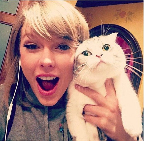 Và tất nhiên trên Instagram của nữ ca sĩ Taylor Swift không thể thiếu hình ảnh chú mèo cưng của mình, Meredith. Bức ảnh đáng yêu này đã thu hút về 2.4 triệu lượt like nhờ vào biểu cảm đối lập của cô chủ Taylor và chú mèo xinh, khiến nữ ca sĩ đã chú thích bức ảnh rằng: "Meredith bị dị ứng với niềm vui đấy."