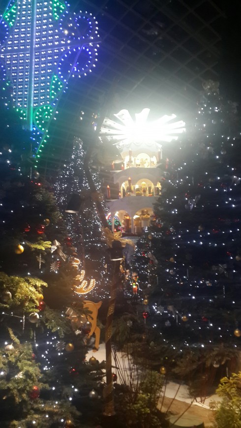 Những ánh đèn màu lấp lánh khiến không khí Noel tràn ngập 