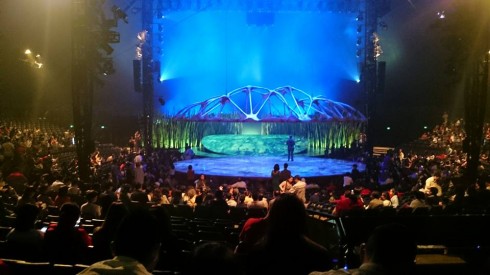 Cirque De Soleil - Totem là show trình diễn nghệ thuật tuyệt vời nhất quả đất mà tôi từng được xem