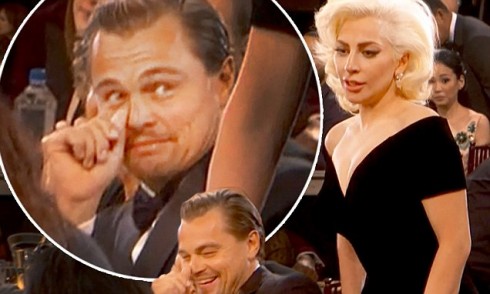 leonardo dicaprio reaction when lady gaga bumps into him