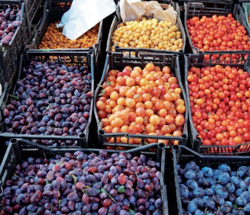 Những trái mận tươi rói tại một trong những khu chợ trái cây đông đúc ở Tbilisi.