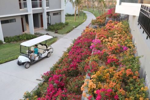 Những con đường rực rỡ sắc hoa dẫn vào khu nghỉ dưỡng. 