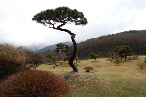 Morning Calm Garden, Gapyeong, Gyeonggi-do