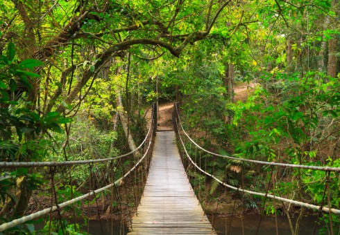 Cây cầu dây thú vị trong chuyến thám hiểm một khu rừng nhỏ trong khuôn viên Khao yai National Park