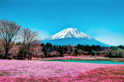 Cơ hội khám phá đất nước Nhật Bản xinh đẹp cho người tham dự cuộc thi