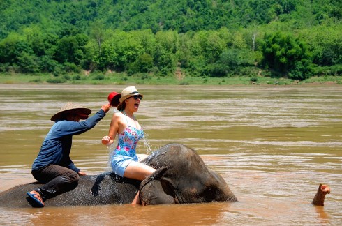 Cưỡi voi vượt dòng nước sông Mê Kông.
