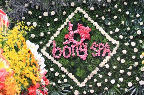 Bông Spa