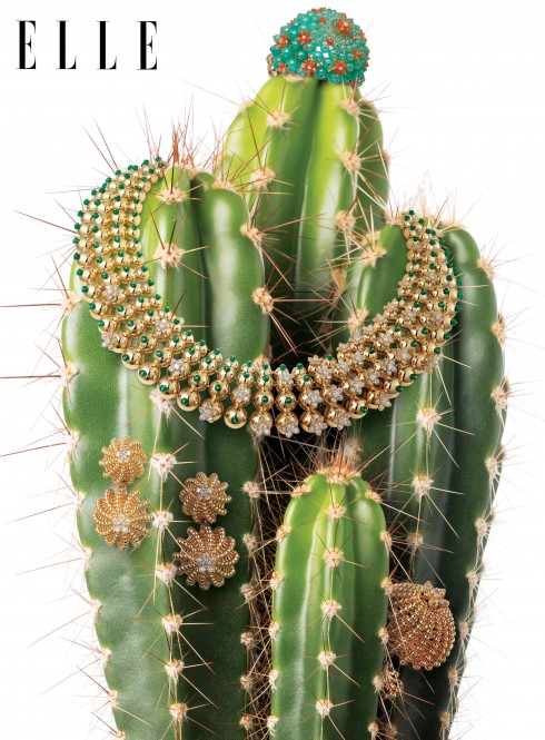 BST Cactus de Cartier