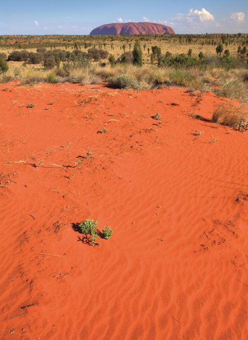 Du lịch Úc: Mùa xuân ngược ở Ayers Rock