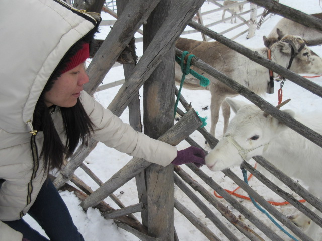 Du lịch Lapland, Phần Lan, quê hương ông già Noel - 05