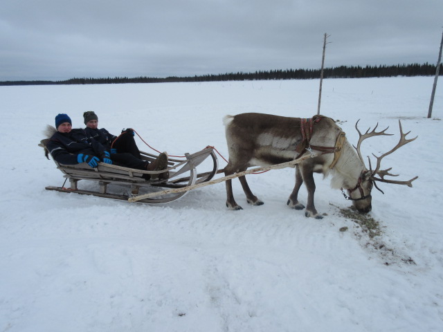 Du lịch Lapland, Phần Lan, quê hương ông già Noel - 09