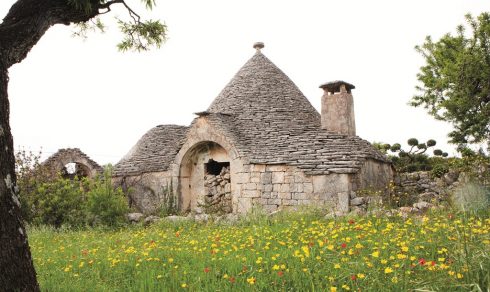 Một ngôi nhà Trullo nguyên bản bị bỏ hoang trên đồng oliu