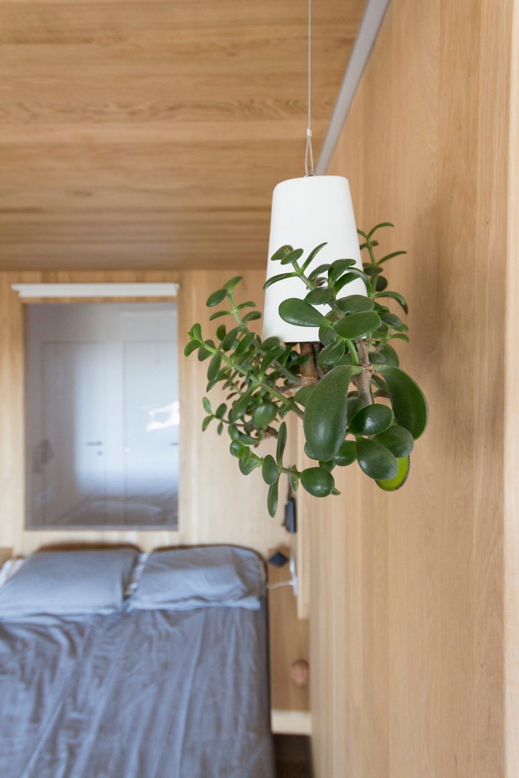 25.Bedroom-living-light-white-cone-on-wooden-wall-original-adds-character