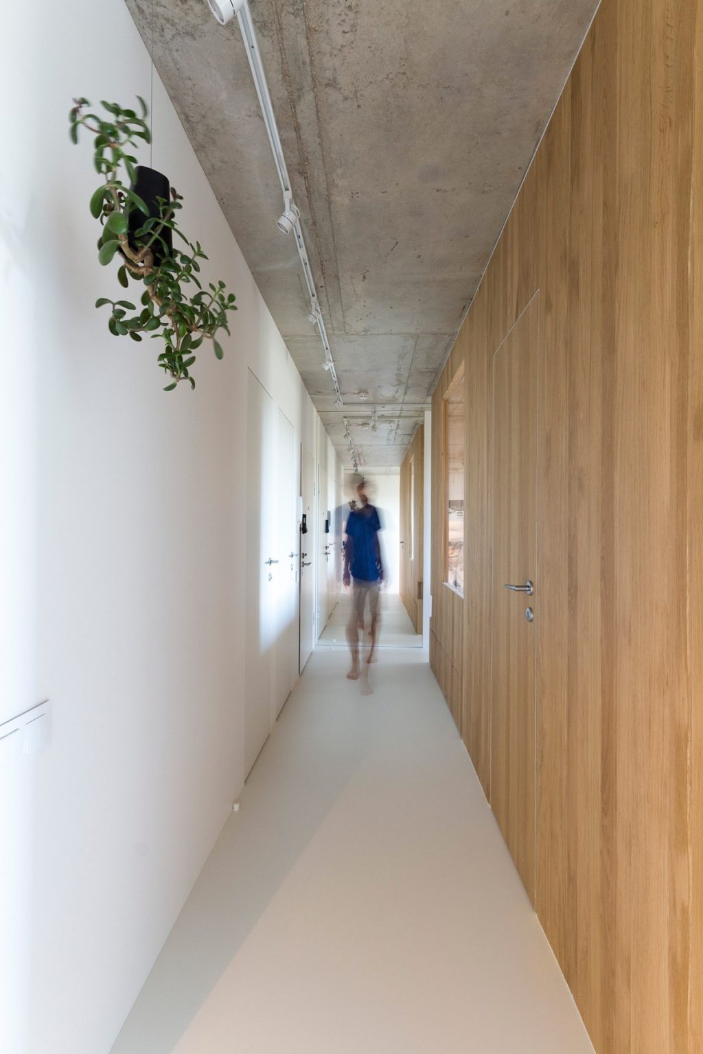28.Minimal-hallway-houses-under-50sqm-living-hanging-plants-white-and-wood-walls