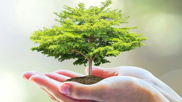 Cập nhật 113+ hình ảnh trồng cây xanh bảo vệ môi trường mới nhất 22 Những hình ảnh bảo vệ môi trường xanh sạch đẹp ý nghĩa nhất Trường Trung Cấp Nghề Thương Mại Du Lịch Thanh Hoá