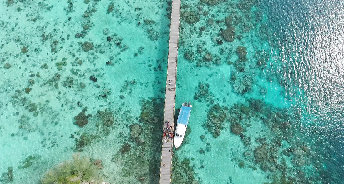 Togean-_-elleman4