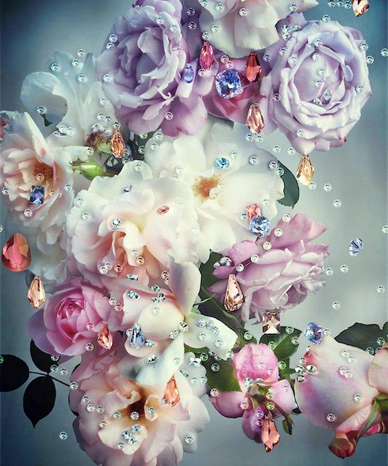 Những cánh hoa trong vườn nhà (Ảnh: Nick Knight)