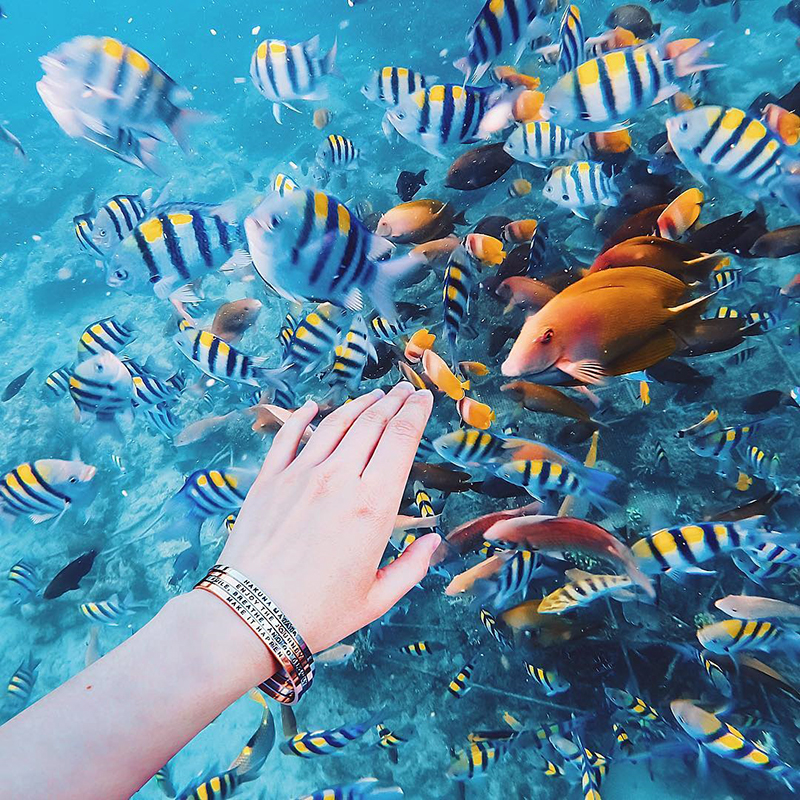 Tại đảo Đảo Gili Trawangan, Indonesia (Ảnh: Kristina Makeeva )