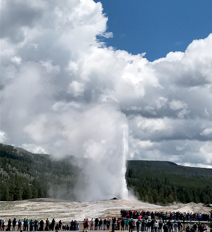 Ghé thăm rừng quốc gia đầu tiên trên thế giới - Yellowstone 