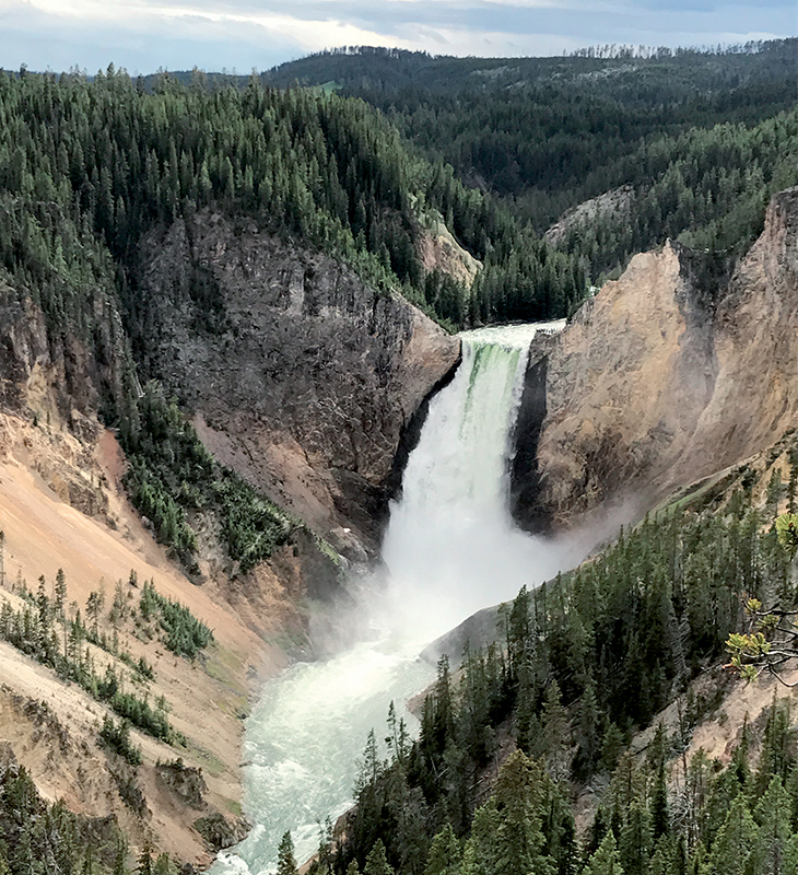 Ghé thăm rừng quốc gia đầu tiên trên thế giới - Yellowstone 