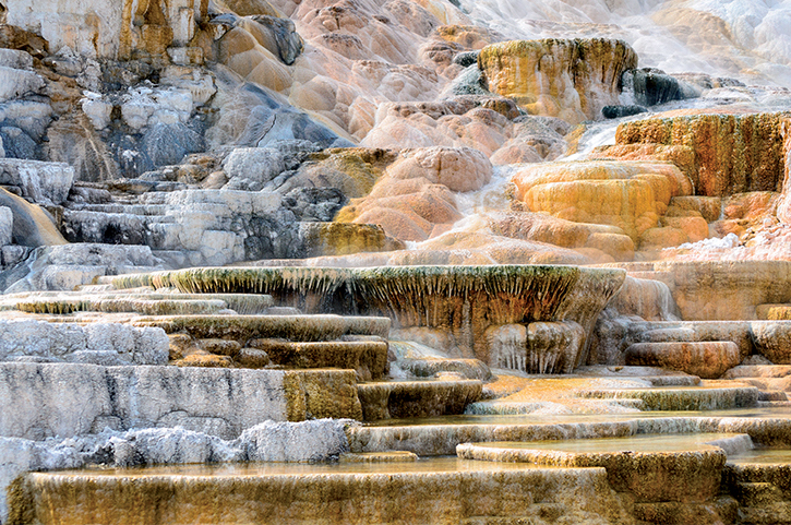 Ghé thăm rừng quốc gia đầu tiên trên thế giới - Yellowstone 