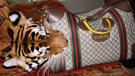 Nhà mốt Gucci với tôn chỉ đạo đức nhằm bảo vệ môi trường sống loài người