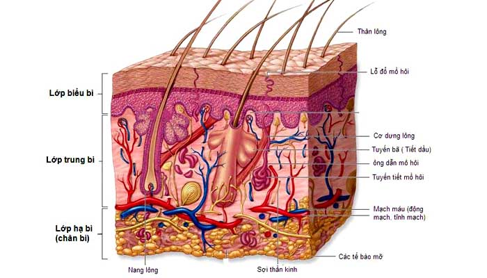 Viết cho làn da bị mụn: Bạn đang được hưởng một đặc ân cực kỳ lớn