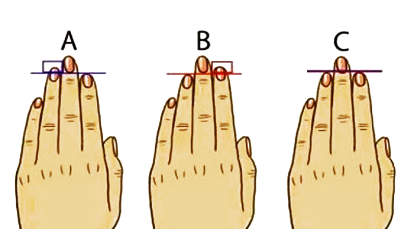 tính cách và chiều dài ngón tay