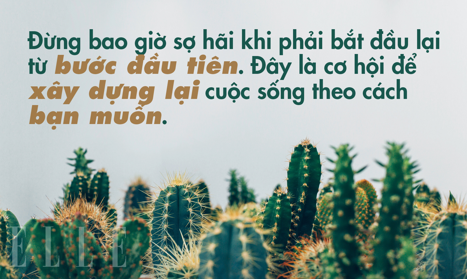 khởi đầu mới