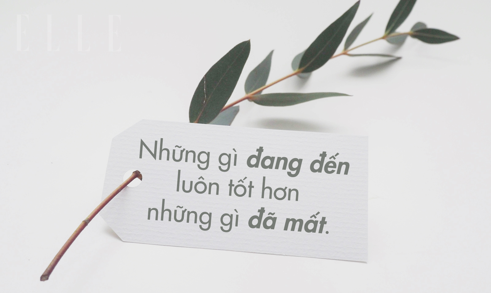 khởi đầu mới