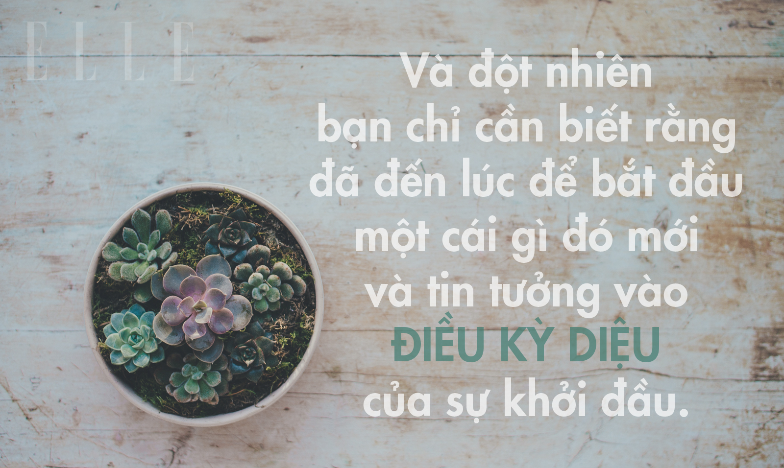 khởi đầu mới