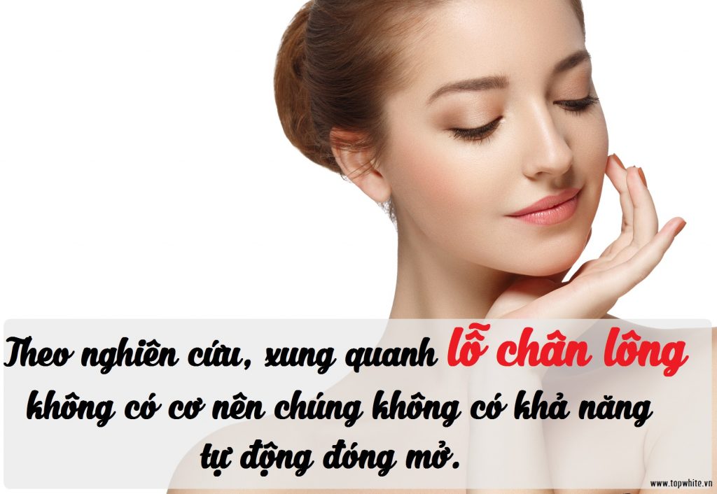 Những quan niệm sai lầm về lỗ chân lông 1