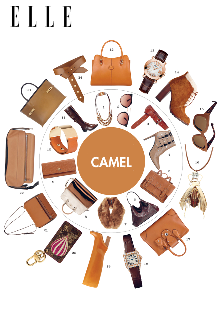 ellevn phu kien mau camel