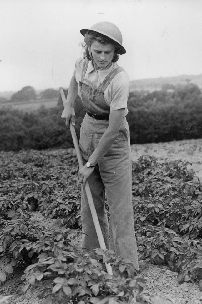 Cô gái nông dân ở miền Nam nước Anh, 1944.
