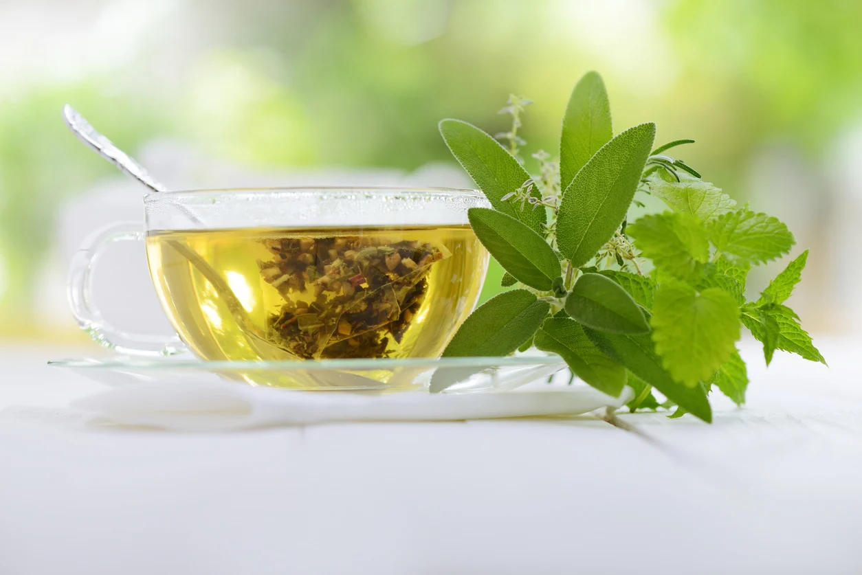 Trà xanh chứa rất nhiều chất chống ôxy hóa EGCG