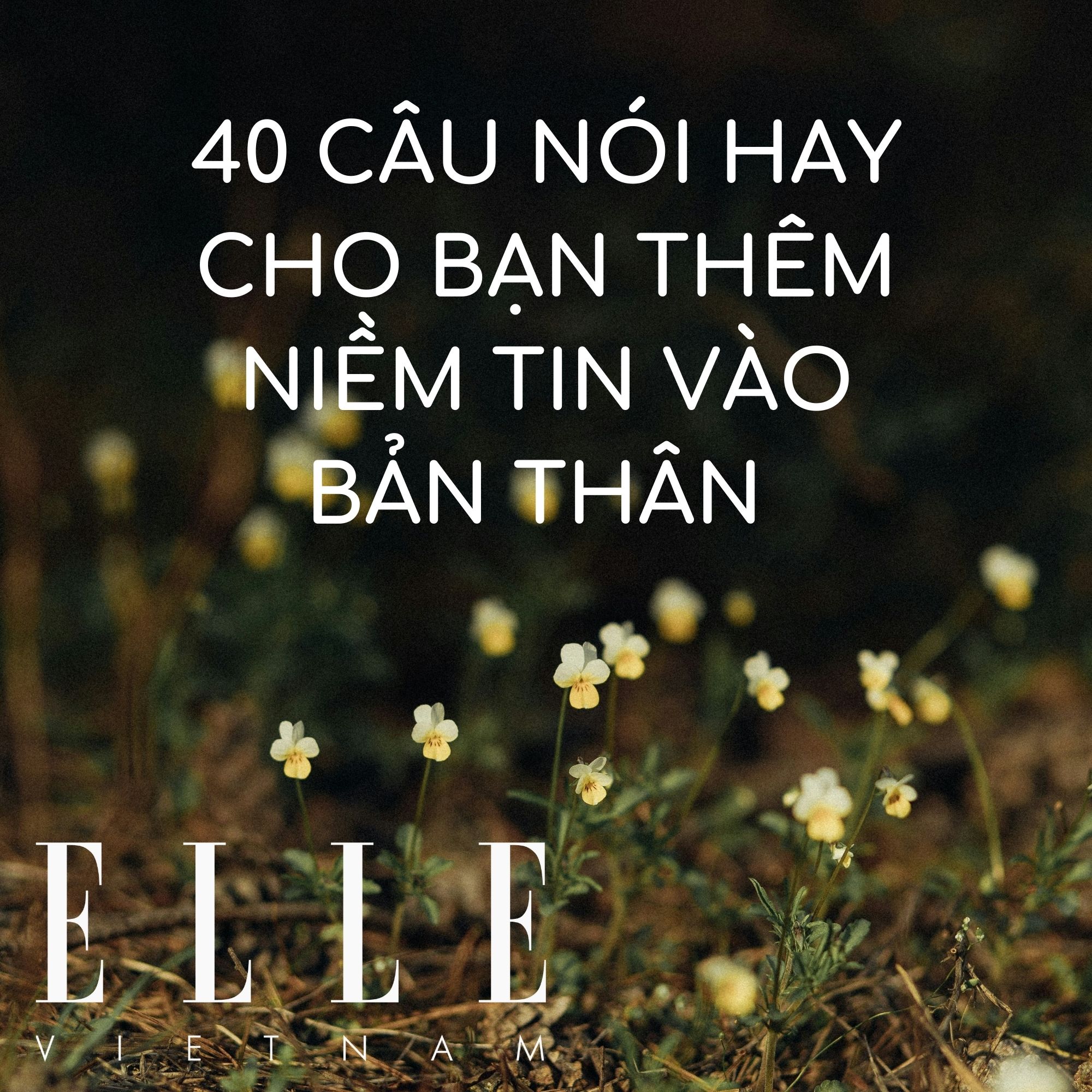 40 câu nói hay cho bạn thêm niềm tin vào bản thân