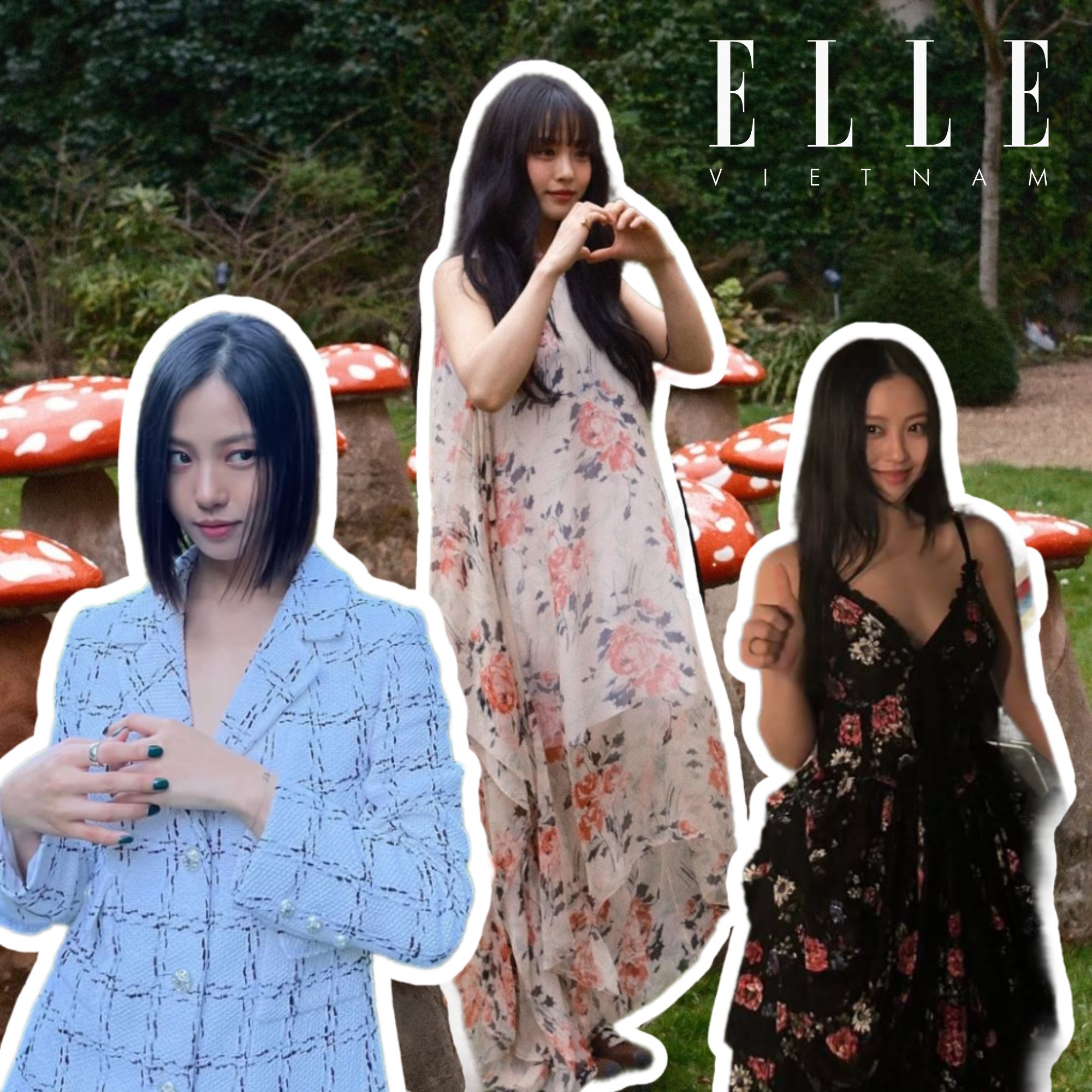 Go min si sự thật thú vị elle