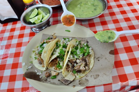 Tacos với các loại sốt ớt (salsa). Sốt ớt màu xanh chính là salsa verde, thơm và cay xé