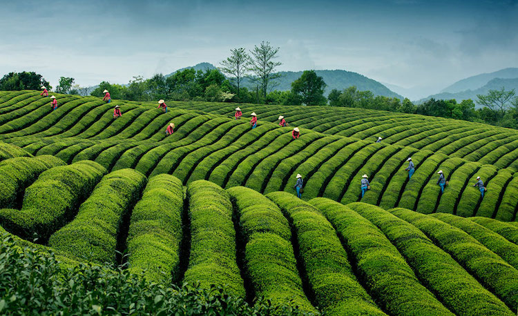 2016-siena-international-photo-awards14