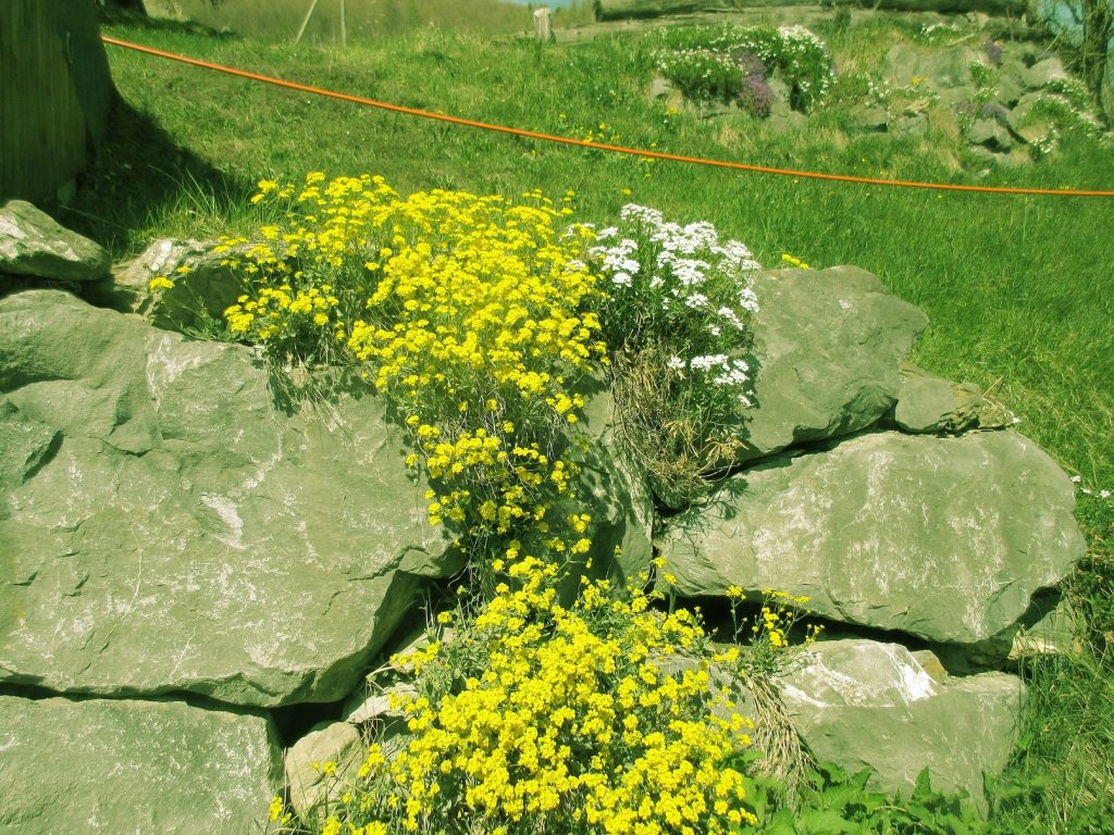 Du lịch phố núi thụy sỹ (13)