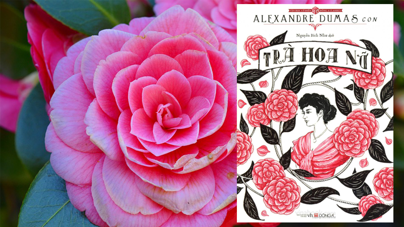 Trà hoa nữ review Cuốn Sách Kinh Điển Làm Nên Tên Tuổi Alexandre Dumas Con 5 Trà hoa nữ review 3