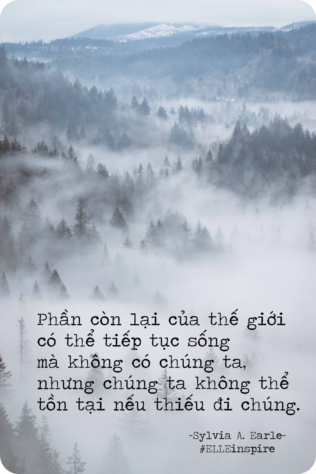 Những câu nói truyền động lực bảo vệ môi trường mà bất cứ ai cũng nên đọc  qua | ELLE