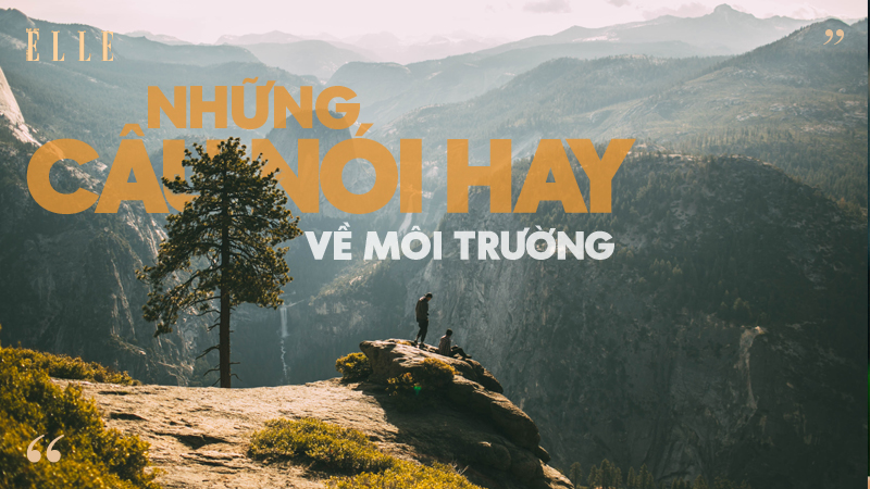 Những câu nói truyền động lực bảo vệ môi trường mà bất cứ ai cũng nên đọc  qua | ELLE