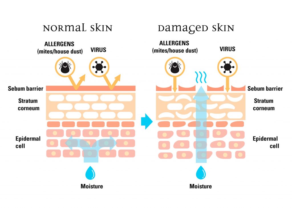 Công dụng của Niacinamide - Thành phần nên có trong quy trình chăm sóc da