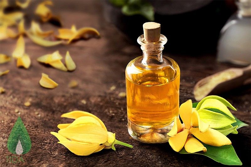 dầu ylang ylang 2